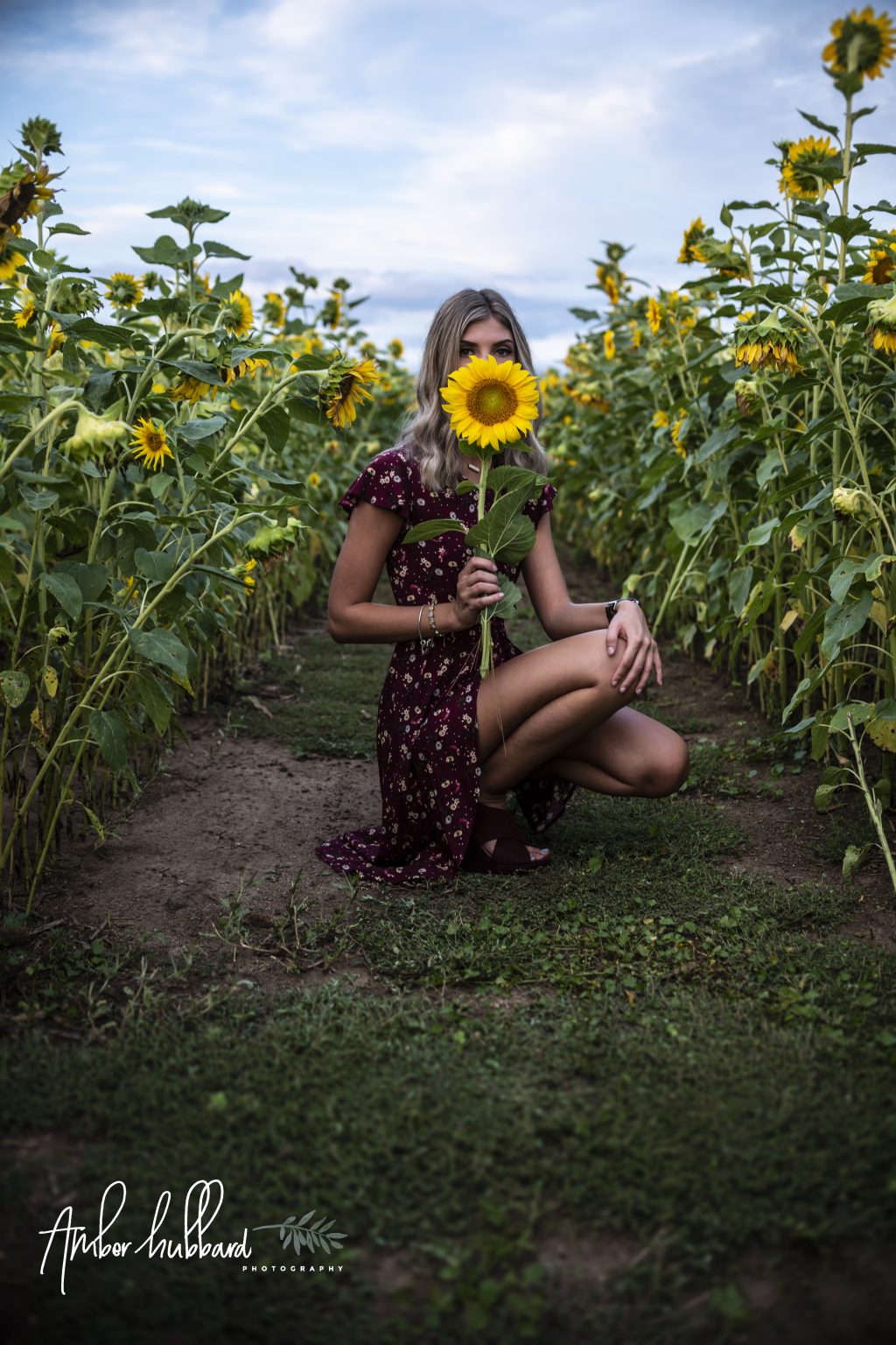 Senior portrait among the sunflowers