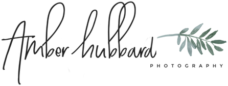 Amber Hubbard Photography